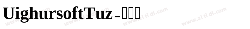 UighursoftTuz字体转换