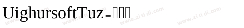 UighursoftTuz字体转换