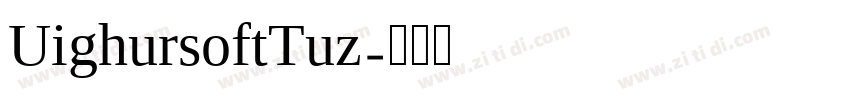 UighursoftTuz字体转换