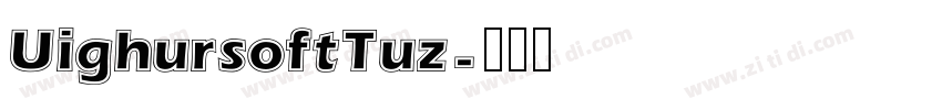UighursoftTuz字体转换