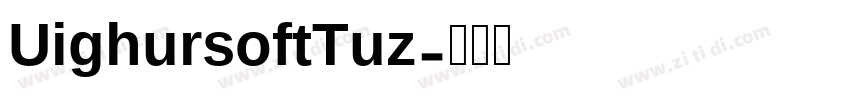 UighursoftTuz字体转换
