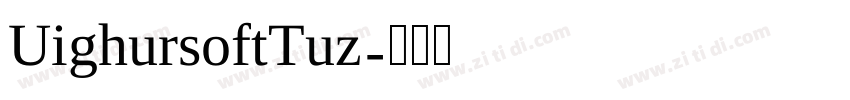 UighursoftTuz字体转换