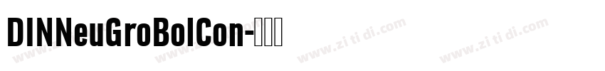 DINNeuGroBolCon字体转换 DINNeuGroBolCon字体转换