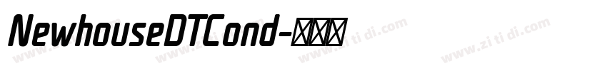 NewhouseDTCond字体转换