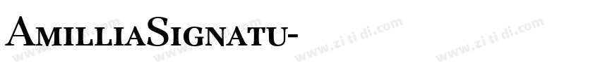 AmilliaSignatu字体转换