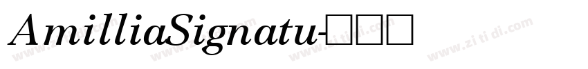 AmilliaSignatu字体转换