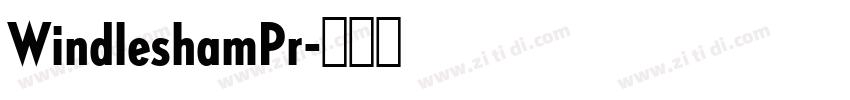 WindleshamPr字体转换