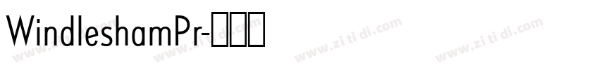 WindleshamPr字体转换