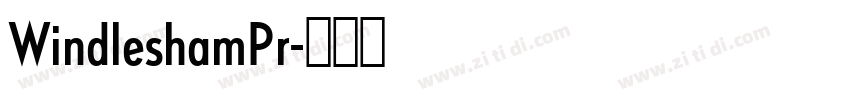 WindleshamPr字体转换