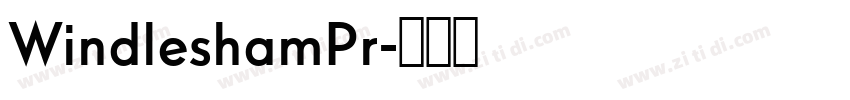 WindleshamPr字体转换