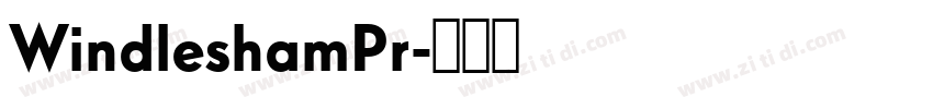 WindleshamPr字体转换