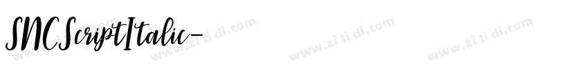 SNCScriptItalic字体转换