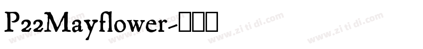 P22Mayflower字体转换