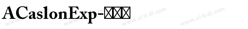 ACaslonExp字体转换