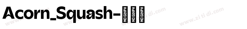 Acorn_Squash字体转换