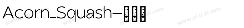 Acorn_Squash字体转换