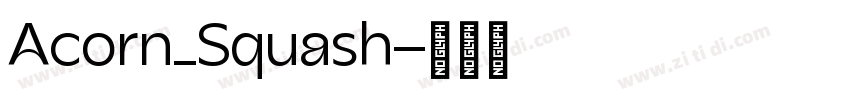 Acorn_Squash字体转换