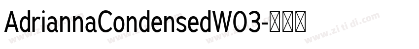 AdriannaCondensedW03字体转换 AdriannaCondensedW03字体转换