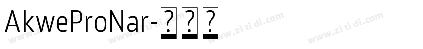 AkweProNar字体转换