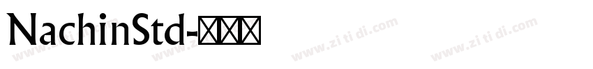 NachinStd字体转换