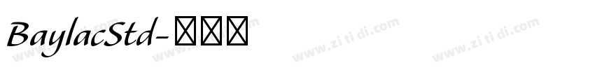 BaylacStd字体转换