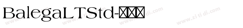 BalegaLTStd字体转换