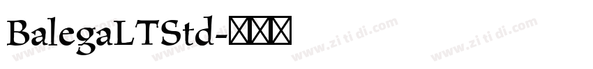 BalegaLTStd字体转换