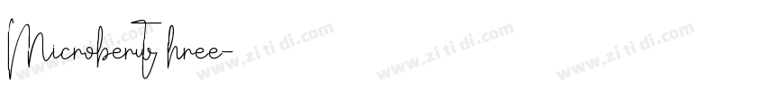MicroberwThree字体转换