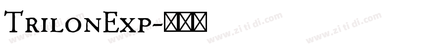 TrilonExp字体转换