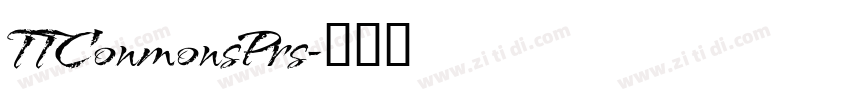 TTConmonsPrs字体转换