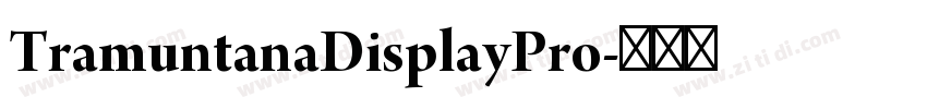 TramuntanaDisplayPro字体转换