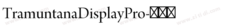 TramuntanaDisplayPro字体转换