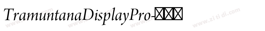 TramuntanaDisplayPro字体转换