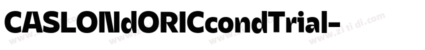 CASLONdORICcondTrial字体转换