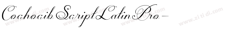 CochocibScriptLatinPro字体转换