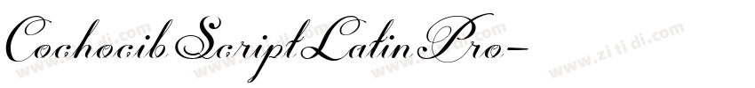 CochocibScriptLatinPro字体转换