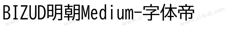 BIZUD明朝Medium字体转换