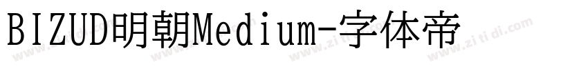 BIZUD明朝Medium字体转换