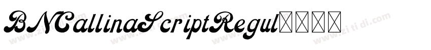 BNCallinaScriptRegul字体转换 BNCallinaScriptRegul字体转换