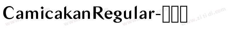 CamicakanRegular字体转换 CamicakanRegular字体转换