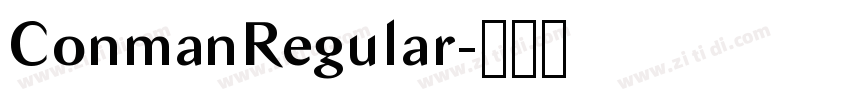 ConmanRegular字体转换