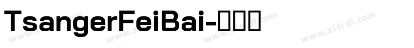 TsangerFeiBai字体转换