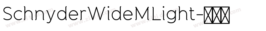 SchnyderWideMLight字体转换