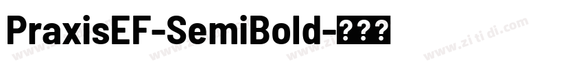 PraxisEF-SemiBold字体转换