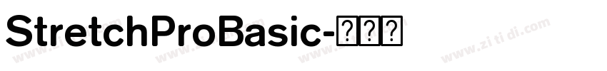 StretchProBasic字体转换 StretchProBasic字体转换