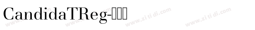 CandidaTReg字体转换