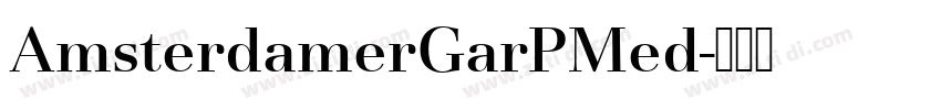 AmsterdamerGarPMed字体转换