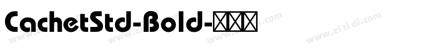 CachetStd-Bold字体转换