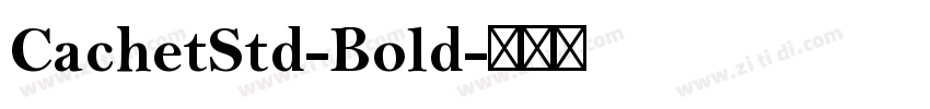 CachetStd-Bold字体转换