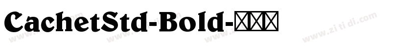 CachetStd-Bold字体转换